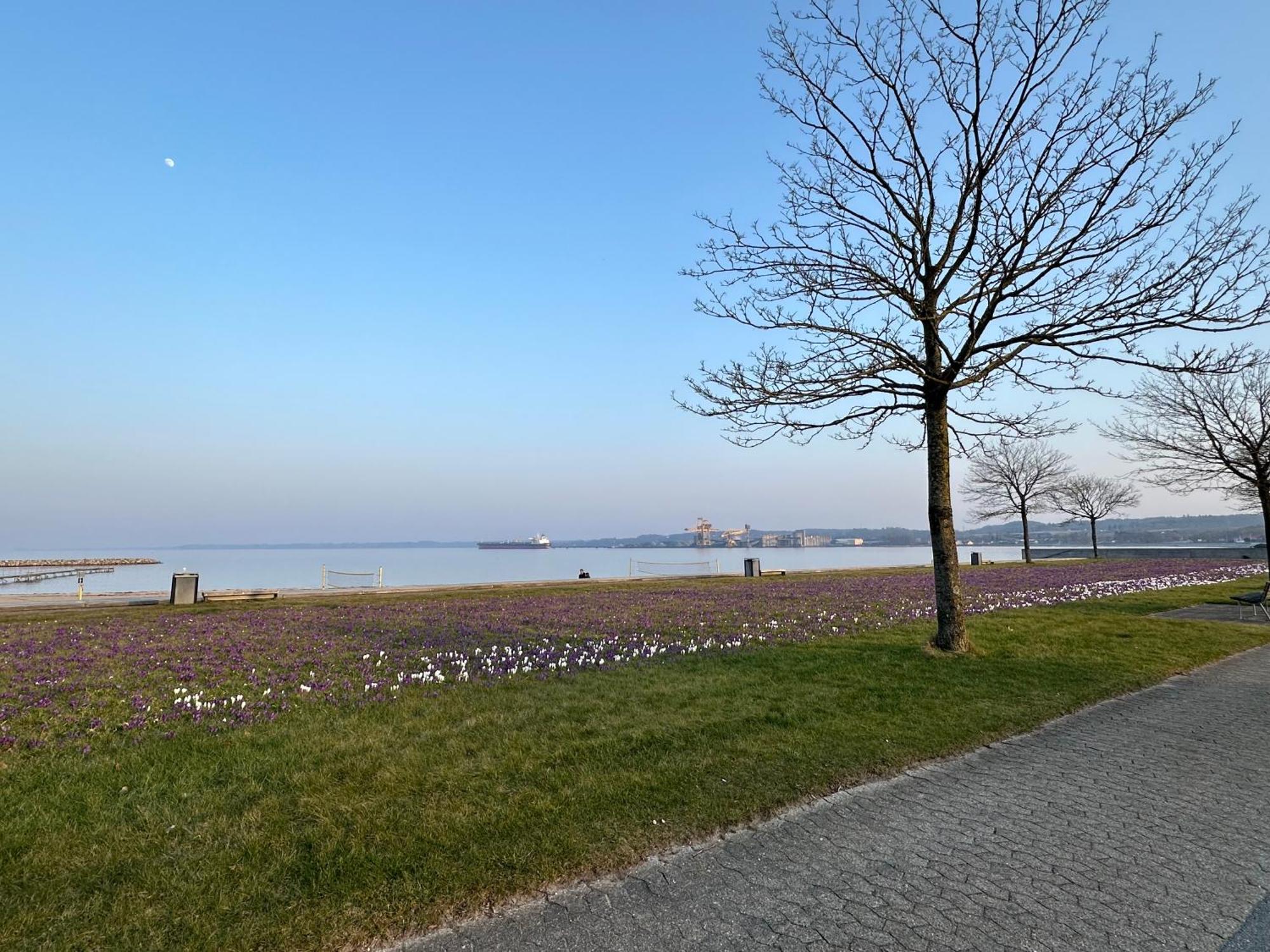 Apartament Seavibe Aabenraa Zewnętrze zdjęcie